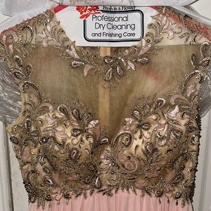 Cinderella Devine Pink Gown